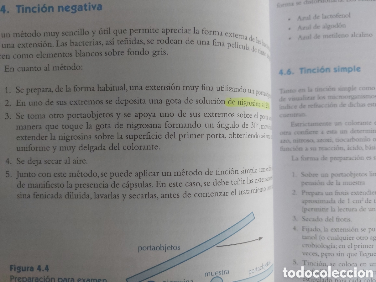 Libros: Ensayos microbiol&oacute;gicos - Foto 16
