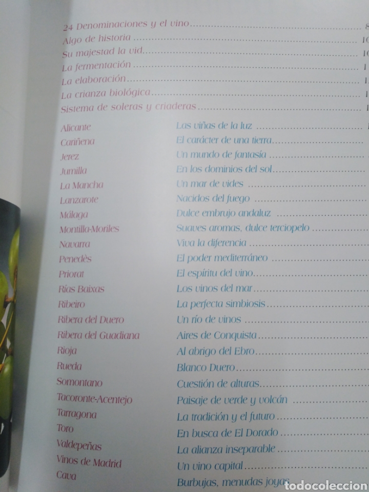 Libros: 24 DENOMINACIONES DE ORIGEN VINICOLAS-BARTOLOME SANCHEZ-2000 - Foto 4