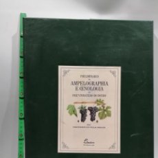 Libros: PRELIMINARES DA AMPELOGRAPHIA E OENOLIGIA DO PAIZ VINHATEIRO DO DOURO. Lote 342698608