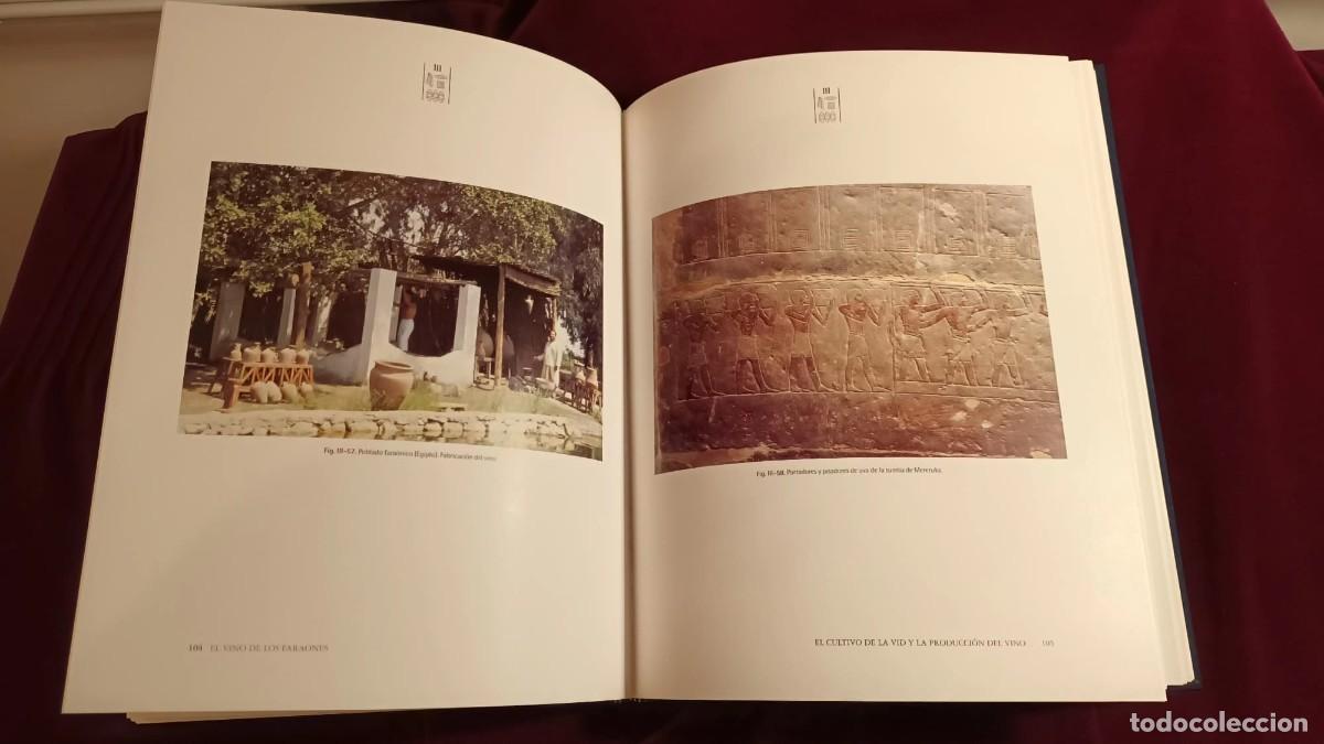 Libros: VIVANCO-EL VINO DE LOS FARAONES. - Foto 6