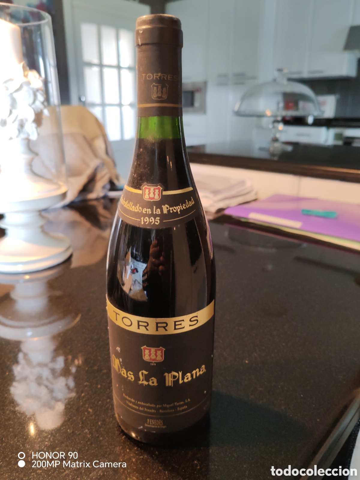 Libros: M&aacute;s la Plana1995 vino casa Torresmnu