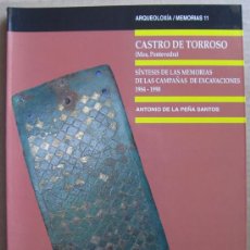 Libros: CASTRO DE TORROSO ( MOS, PONTEVEDRA ). SÍNTESIS DE LAS MEMORIAS DE 1984 - 1990. Lote 12781186