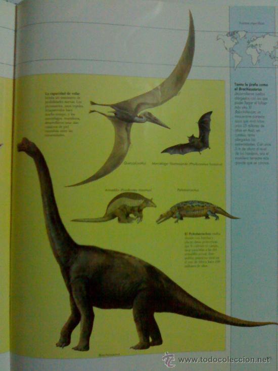 Libros: El planeta vivo david attenborouh - Foto 2