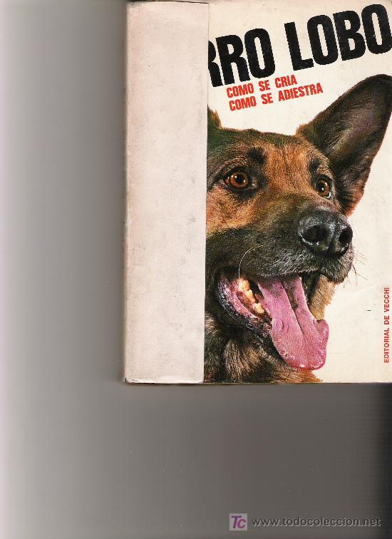 Libros: EL PERRO LOBO - ENRIQUE GUELFI - EDITORIAL DE VECCHI - - Foto 1