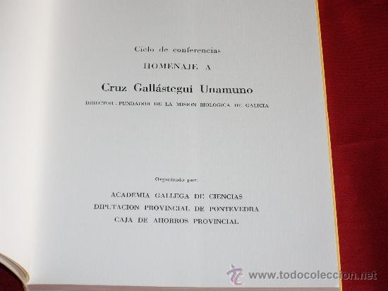 Libros: HOMENAJE A CRUZ GALL&Aacute;STEGUI UNAMUNO - Foto 2