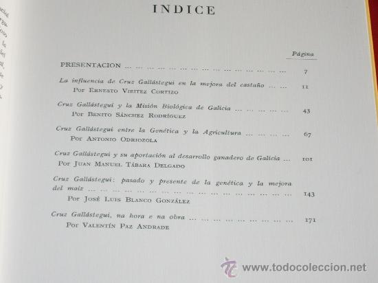 Libros: HOMENAJE A CRUZ GALL&Aacute;STEGUI UNAMUNO - Foto 3