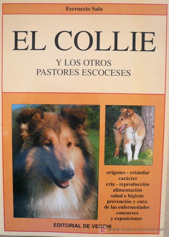 Libros: EL COLLIE / (REF: 1212-02) - Foto 1
