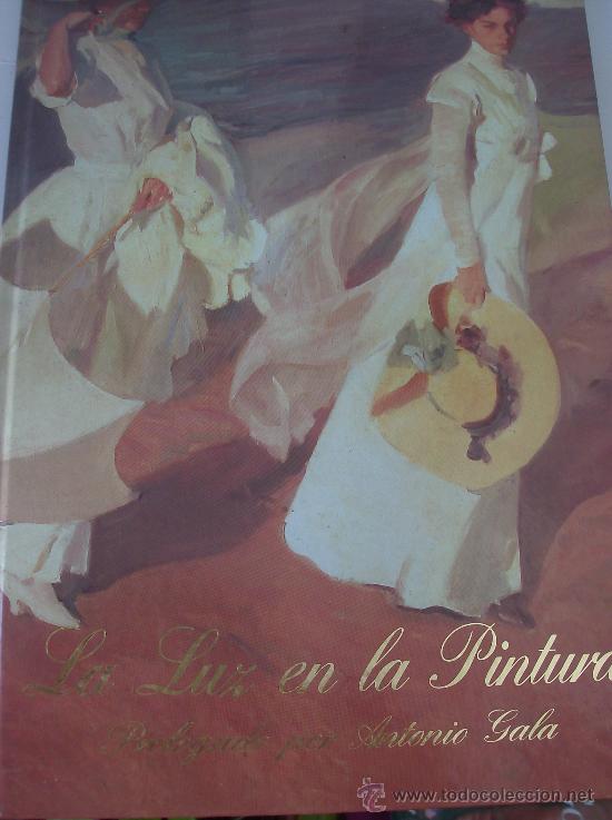 Libros: LIBRO  LA LUZ EN LA PINTURA  PROLOGO  ANTONIO GALA - Foto 1