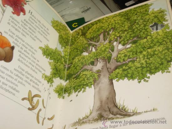 Libros: MARAVILLOSO TIERRA - EDITORIAL MOLINO - Foto 4