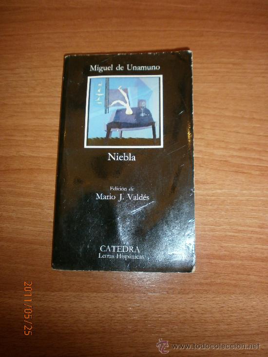 Libros: LIBRO NIEBLA - MIGUEL DE UNAMUNO- EDICION DE MARIO J. VALDES - Foto 1