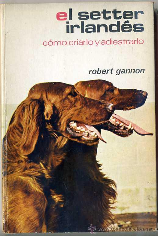 Libros: EL SETTER IRLAND&Eacute;S (1974) MUY ILUSTRADO - Foto 1