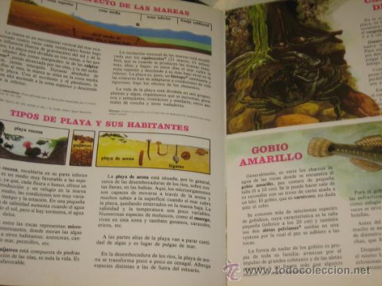Libros: LOS SECRETOS DE LA PLAYA - EDITORIAL FHER - Foto 3