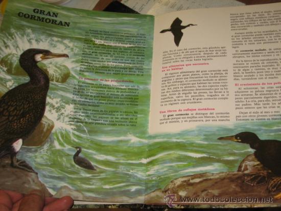 Libros: LOS SECRETOS DE LA PLAYA - EDITORIAL FHER - Foto 2