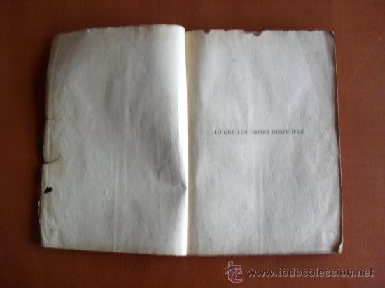 Libros: Lo que los dioses destruyen -- Ediciones Bistagne * - Foto 2