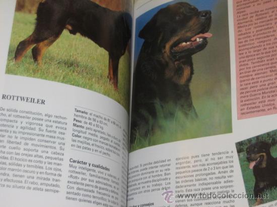 Libros: LOS PERROS - SUSAETA OFERTA - Foto 3