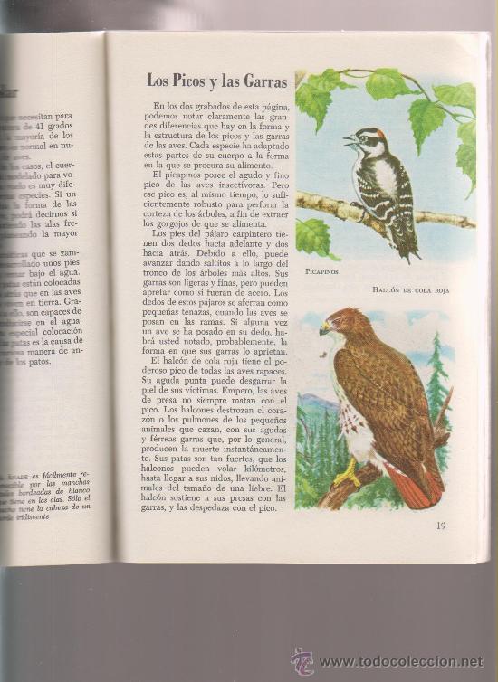 Libros: LIBRO DE AVES DEL MUNO DE LA EDITORIAL NOVARO - Foto 2