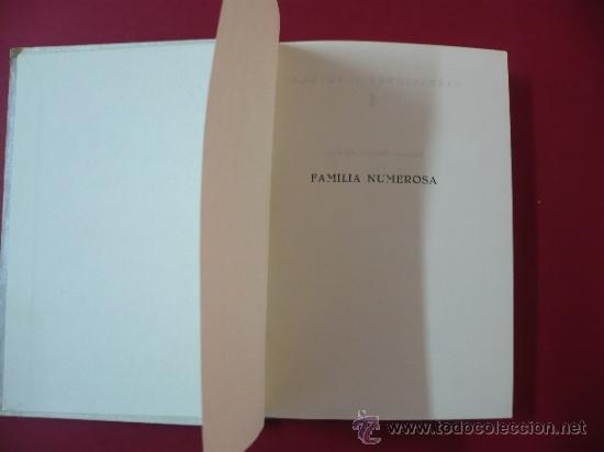 Libros: FAMILIA NUMEROSA. WILLIAM E. WALSH. TDK4 - - Foto 2