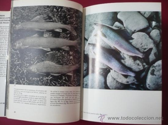 Libros: GRAN ENCICLOPEDIA ILUSTRADA DE LOS PECES. STANISLAV FRANK TDK10 - - Foto 3