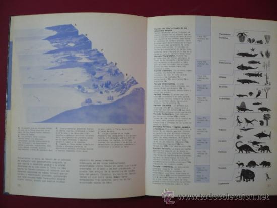 Libros: LA TIERRA NAVE DEL ESPACIO. DIAGRAM GROUP. EVEREST. TDK84 - - Foto 3