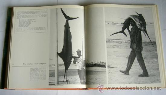 Libros: ALEGRIAS DE LA PESCA - DANIEL MAURY - PROLOGO DE MIGUEL DELIBES - Foto 4