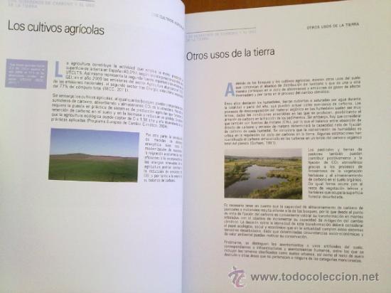 Libros: LOS SUMIDEROS DE CARBONO A NIVEL LOCAL - Foto 2