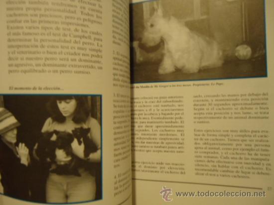 Libros: LIBRO SCOTTISH TERRIER MICHEL BOLZINGER PERRO - Foto 6