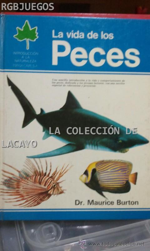 Libros: LA VIDA DE LOS PECES ESPASA-CALPE 1981 - Foto 1