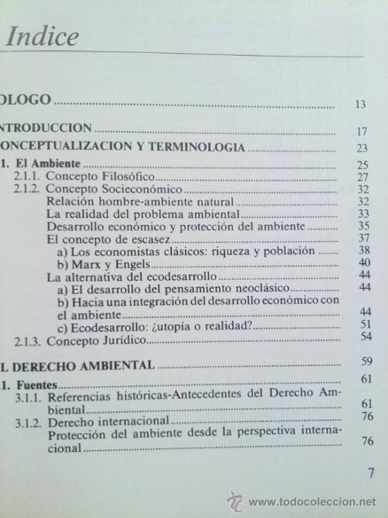 Libros: EL DERECHO AMBIENTAL Y SUS PRINCIPIOS RECTORES - Foto 2