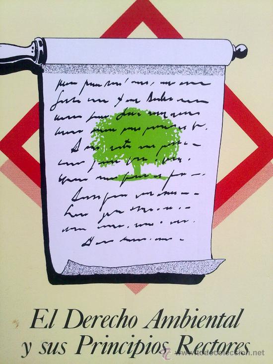 Libros: EL DERECHO AMBIENTAL Y SUS PRINCIPIOS RECTORES - Foto 1
