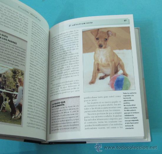 Libros: PINSCHER MINIATURA. CHARLOTTE SCHWARTZ. - Foto 2