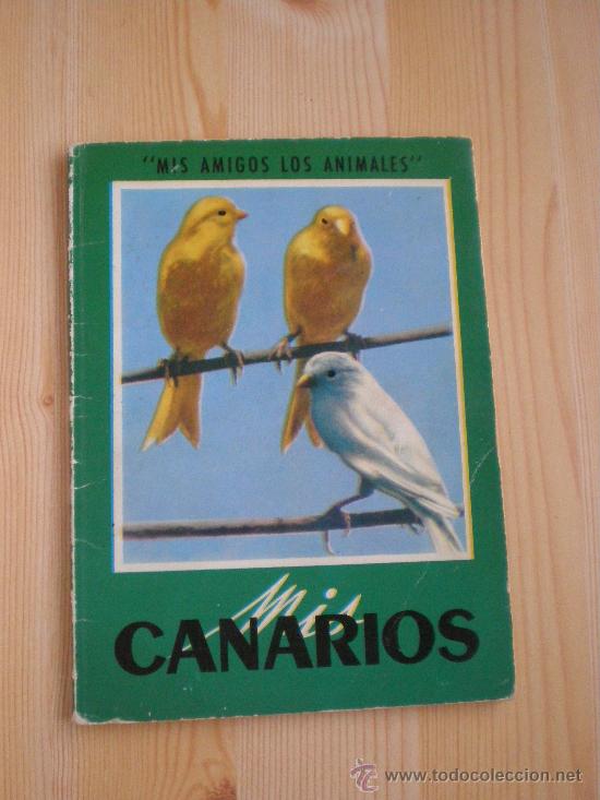 Libros: MIS CANARIOS.  TRADUCCI&Oacute;N DE MANUEL COMPANY - Foto 1