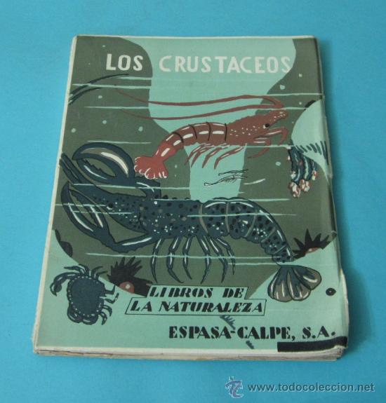 Libros: LOS CRUST&Aacute;CEOS. JOSEFA MART&Iacute; DE TORTAJADA - Foto 1