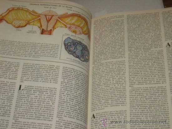 Libros: AMOR Y SEXUALIDAD - ENESA 1979 - Foto 5