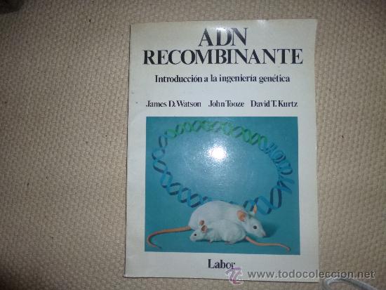 Libros: ADN recombinante. Introduccion a la ingenieria genrtica. Watson, Tooze, Kurtz - Foto 1