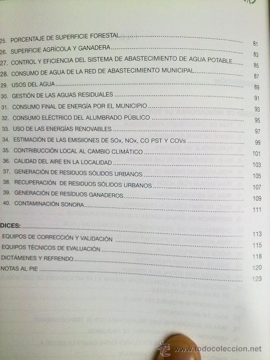 Libros: PANEL DE INDICADORES DE SOSTENIBILIDAD LOCAL - Foto 3