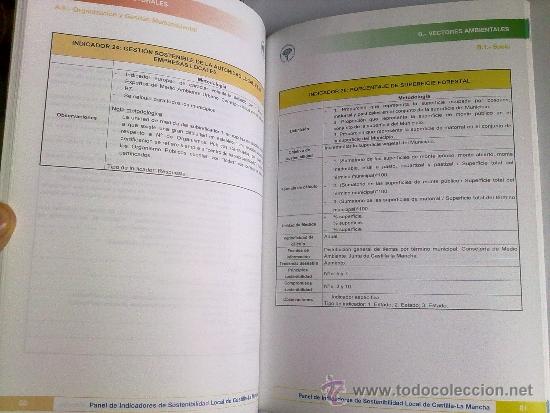 Libros: PANEL DE INDICADORES DE SOSTENIBILIDAD LOCAL - Foto 4