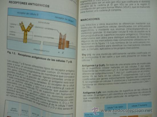 Libros: INMUNOLOGIA. DAVID MALE. TDK127 - - Foto 3