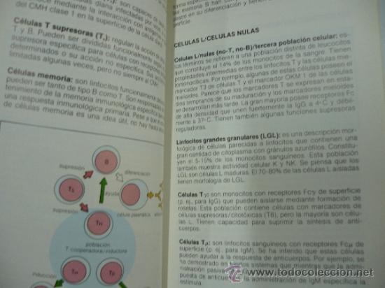 Libros: INMUNOLOGIA. DAVID MALE. TDK127 - - Foto 2