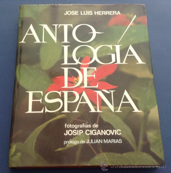 Libros: Antolog&iacute;a de espa&ntilde;a TDK250 - - Foto 1