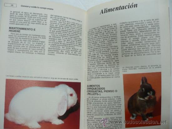 Libros: CONOCE Y CUIDA TU CONEJO ENANO. - HISPANO EUROPEA. TDK134 - - Foto 2