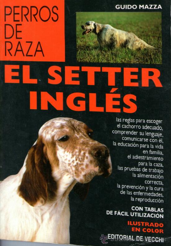 Libros: libro perros de raza, el setter ingles, perro - Foto 1