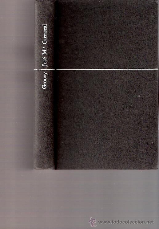 Libros: LIBRO - GROOVY - JOSE MARIA CARRASCAL - PREMIO EUGENIO NADAL 1972 - ANCORA Y DELFIN - Foto 1