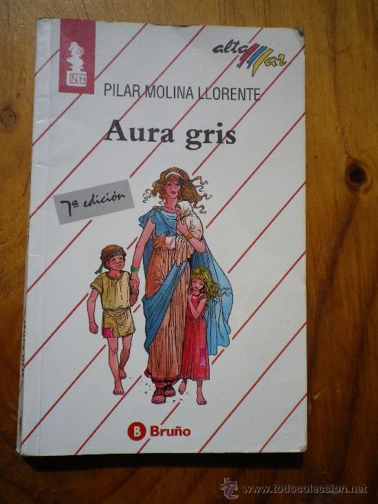 Libros: Aura gris  POR   Pilar Molina Llorente - Foto 1