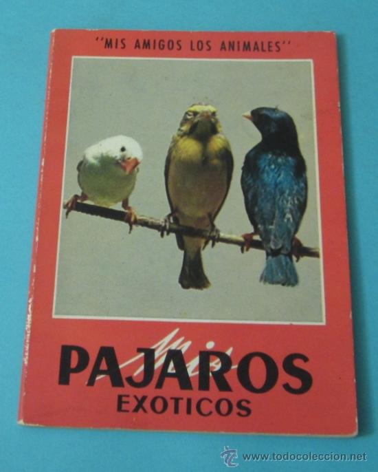 Libros: P&Aacute;JAROS EX&Oacute;TICOS. ANDRE PAUL - Foto 1
