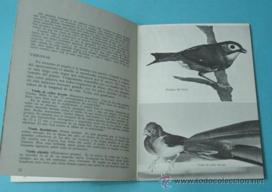 Libros: P&Aacute;JAROS EX&Oacute;TICOS. ANDRE PAUL - Foto 2