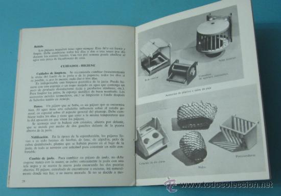 Libros: P&Aacute;JAROS EX&Oacute;TICOS. ANDRE PAUL - Foto 3