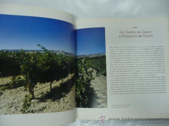 Libros: LAS RUTAS DEL VINO EN ESPA&Ntilde;A. CASTILLA Y LE&Oacute;N. TDK46 - - Foto 2