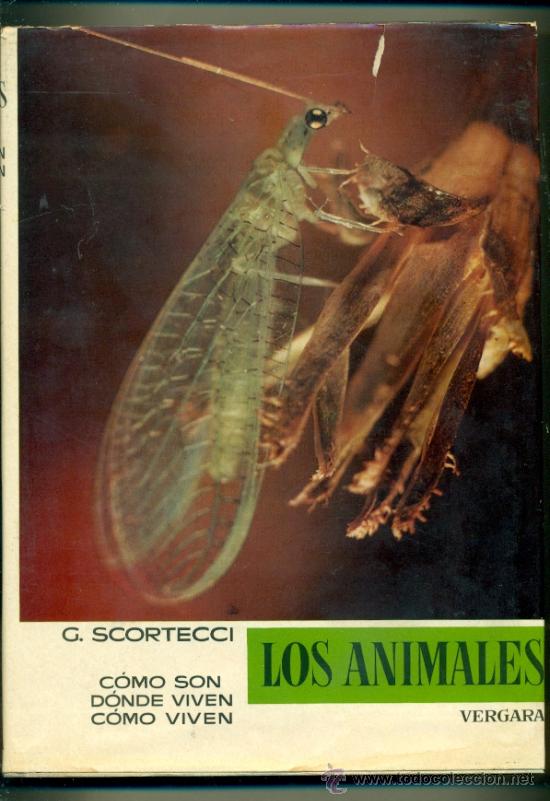 Libros: LOS ANIMALES - INSECTOS V. V- - G.SCORTECCI - ED. VERGARA - Foto 1