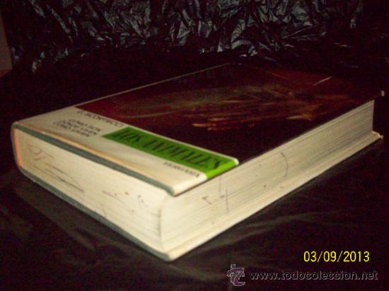 Libros: LOS ANIMALES - INSECTOS V. V- - G.SCORTECCI - ED. VERGARA - Foto 2