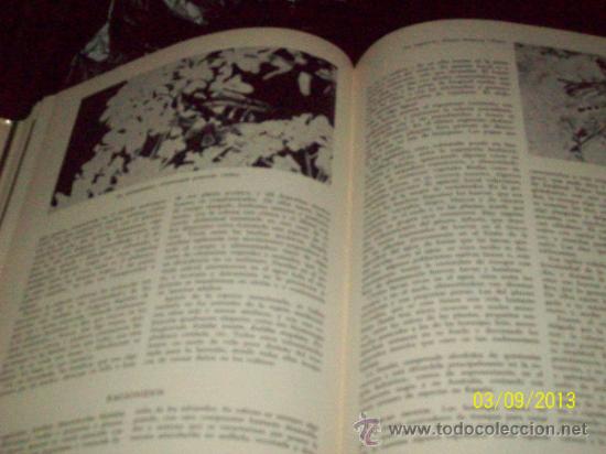 Libros: LOS ANIMALES - INSECTOS V. V- - G.SCORTECCI - ED. VERGARA - Foto 3